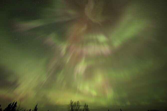 1 Day Shared Tour Arctic Circle and Aurora Viewing in Alaska - Key things I’d pin to the top