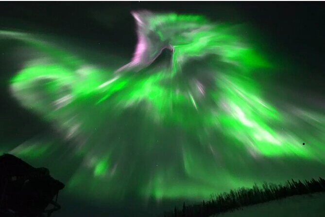 1 Day Shared Tour Arctic Circle and Aurora Viewing in Alaska - Why this Fairbanks tour feels better than a huge bus night