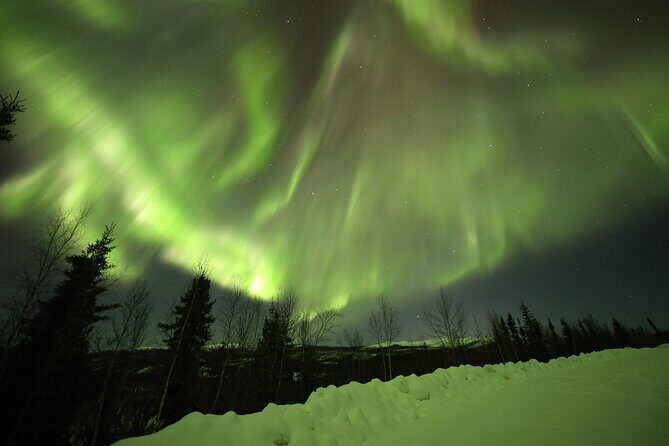 1 Day Shared Tour Arctic Circle and Aurora Viewing in Alaska - Dalton Highway reality check: what to pack and what to tolerate