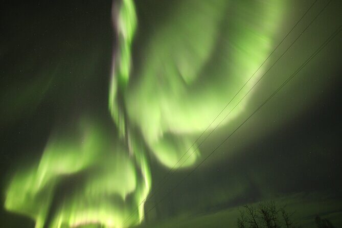 1 Day Shared Tour Arctic Circle and Aurora Viewing in Alaska - Sultan’s driving and the photo help that actually makes a difference