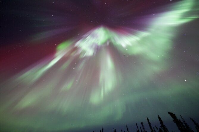 1 Day Shared Tour Arctic Circle and Aurora Viewing in Alaska - Price and what $165 really buys you