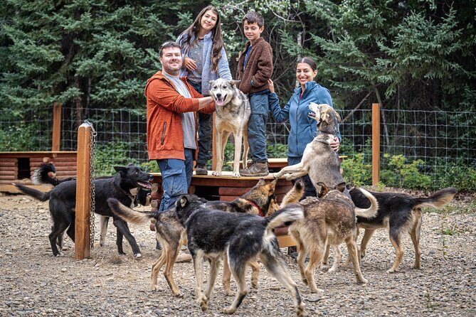 1 Hour Fall Sled Dog Experience in Two Rivers - Where the fall dog work starts near Fairbanks