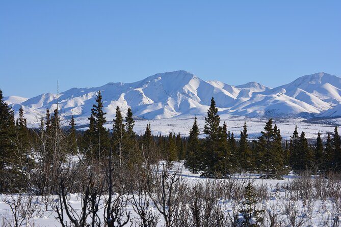 10 Hours Denali Winter Drive in Alaska - Murie Science and Learning Center: Snow Time and Survival Science