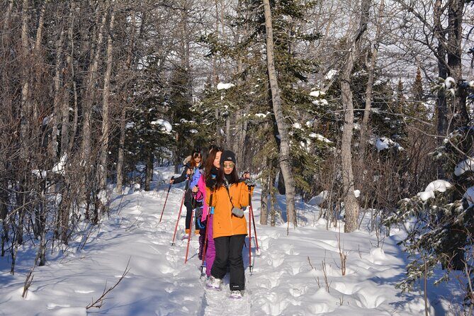 10 Hours Denali Winter Drive in Alaska - How the Guide Changes Your Day (Tim, Sarah, Mike, John, Don, Sabrina)