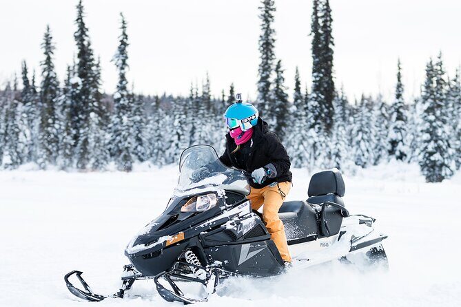 2-Hour Guided Snowmobile Tour in Fairbanks - Goldstream Valley in 2 hours: why this route works