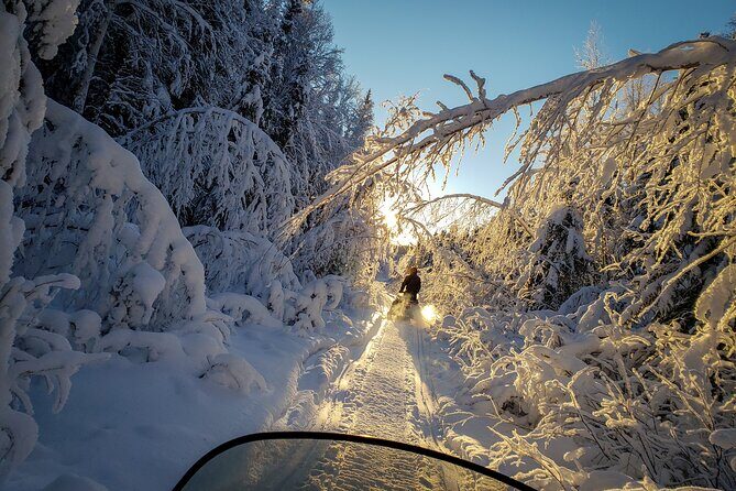 2-Hour Guided Snowmobile Tour in Fairbanks - How the ride unfolds: forests, frozen water, and powder moments