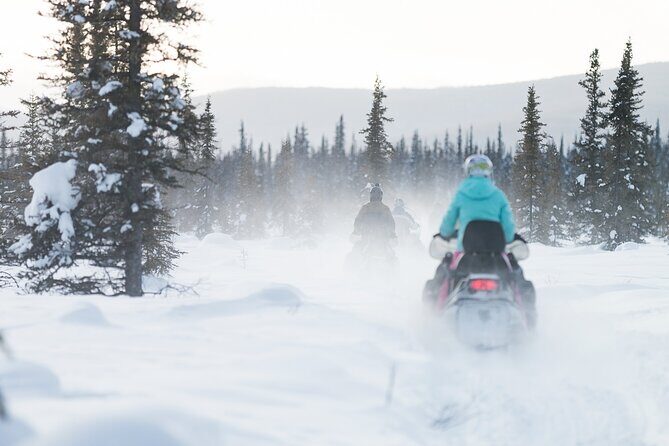 2-Hour Guided Snowmobile Tour in Fairbanks - Riding comfort and safety: what the guide does for you