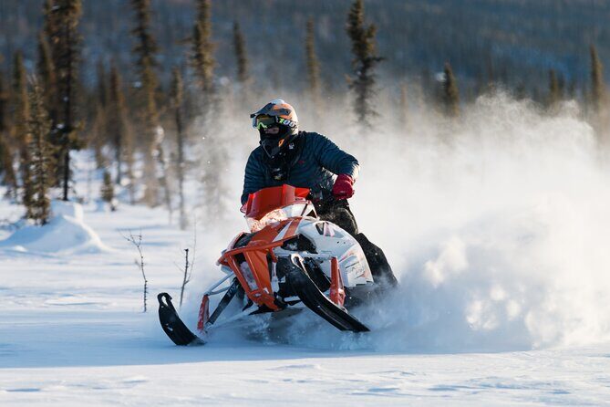 2-Hour Guided Snowmobile Tour in Fairbanks - Value for your time: gear included, guidance included, and no big-group chaos