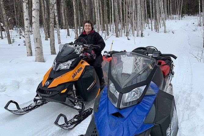 2-Hour Snowmachine Tour - Forest Views You Can Spot: Birch, Aspen, and Spruce Differences