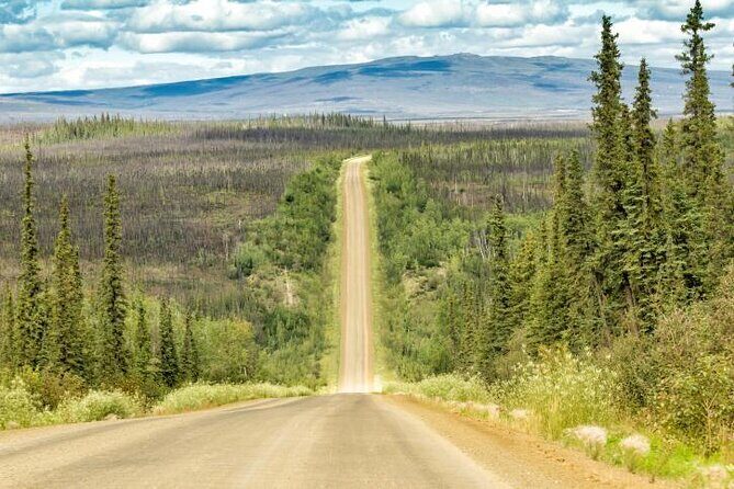 8-12 Hour Private Arctic Circle Experience in Alaska with Lunch - Key things to know before you go