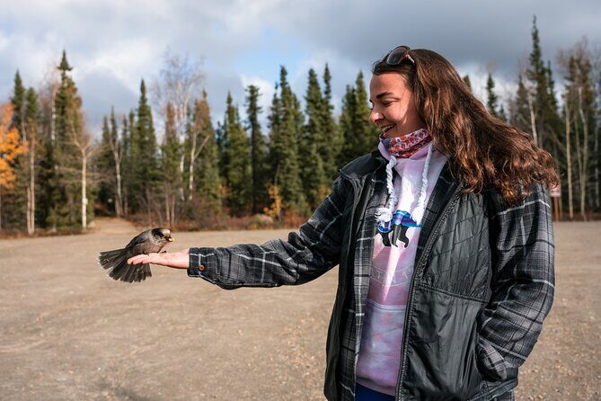 8-12 Hour Private Arctic Circle Experience in Alaska with Lunch - Stop 2: Trans Alaska Pipeline—up close, with context