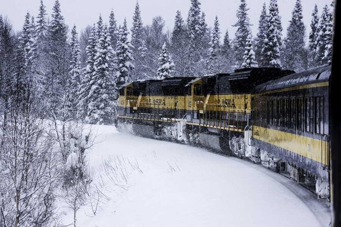 Alaska Railroad Aurora Winter Fairbanks to Anchorage One Way - Dining and Snacks: What’s Included, What Isn’t, and How Meal Timing Works