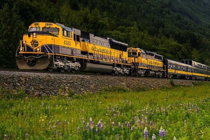 Alaska Railroad Fairbanks to Denali One Way - From the Fairbanks Depot: what your morning looks like