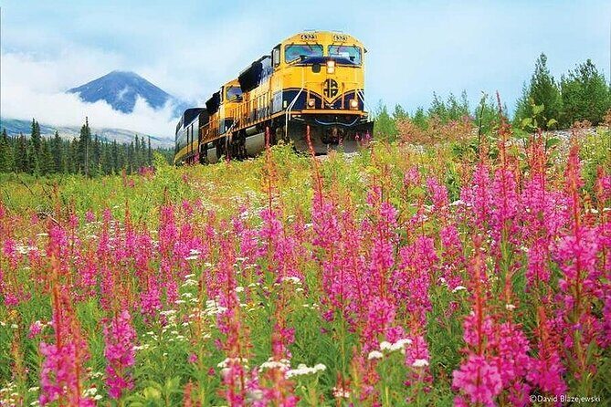 Alaska Railroad Fairbanks to Denali One Way - How the small-group format changes the vibe