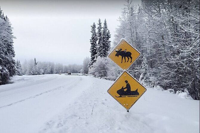Alaska Snowmobile Adventure Tour - Snowmobile Time in the Chena Lakes Recreation Area