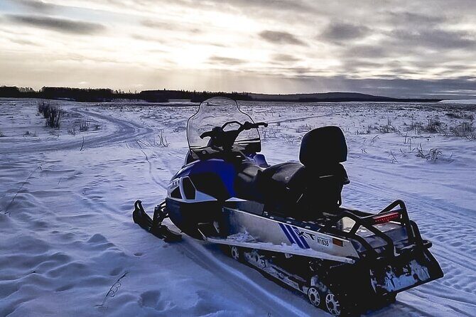 Alaska Snowmobile Adventure Tour - Safety and gear checks: helmets are included, but you bring the cold-weather kit