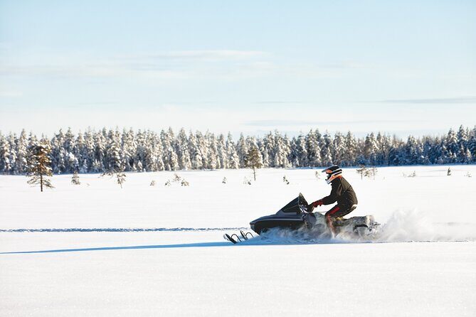 Alaska Snowmobile Adventure Tour - Wildlife spotting: good odds, smart expectations