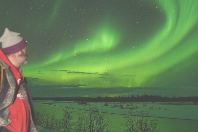Amazing Aurora Chasing Experience. - Group size: why max 11 travelers feels better