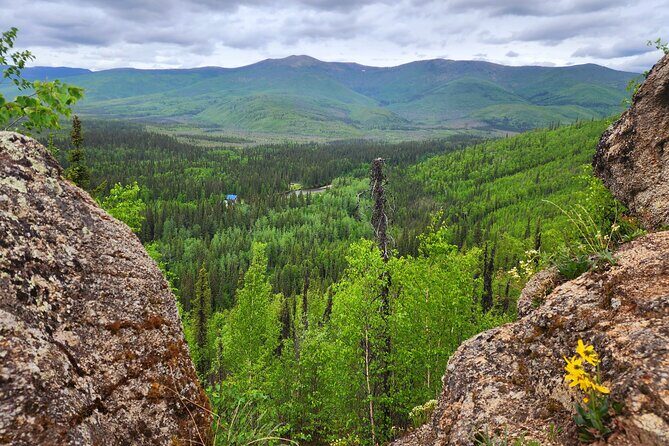 Angel Rocks Hike and Chena Hot-Springs Soak Guided Tour - Aurora Ice Museum at Chena Hot Springs: cool rooms and included time