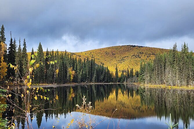Angel Rocks Hike and Chena Hot-Springs Soak Guided Tour - Price and value: $165 makes sense if you hate logistics