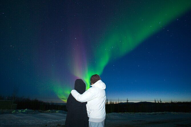 Arctic Circle Adventure with Aurora Viewing and FREE Photos - The Arctic Circle Sign Moment: Original Certificates and Free Photo Time