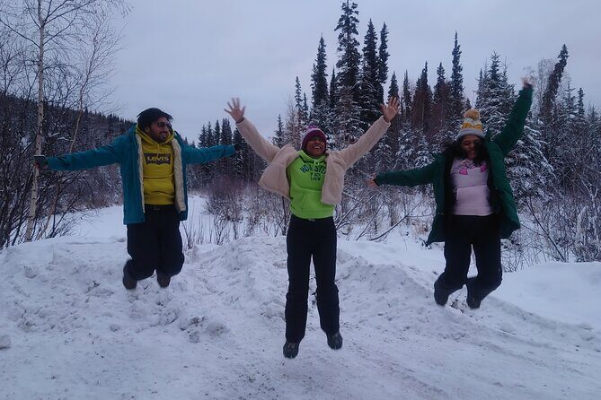 Arctic Circle Adventure with Aurora Viewing and FREE Photos - Dalton Highway, Yukon River, and the Alaska Pipeline from the Road