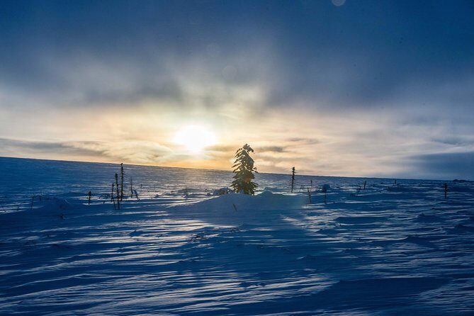 Arctic Circle Aurora Drive Adventure - Riding the bumpy Dalton Highway: comfort, snacks, and timing tips