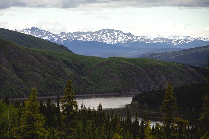 Arctic Circle Day Tour - Why the Arctic Circle Sign Trip Is More Than a Photo Op