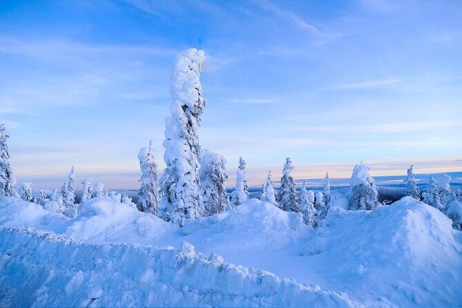 Arctic Circle Day Tour Adventure - Key highlights worth planning for