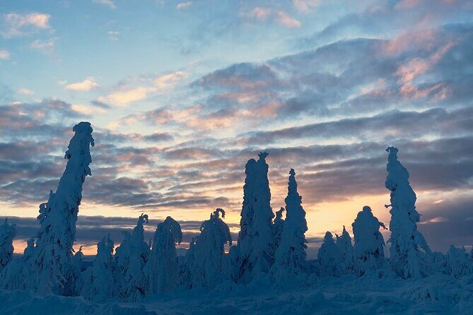 Arctic Circle Day Tour Adventure - Meeting in Fairbanks: timing, pickup, and the “long-day rhythm”