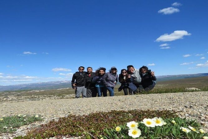 Arctic Circle Full-Day Adventure from Fairbanks - Stop 1: Alyeska Pipeline Viewing Point and why that’s the smart opener