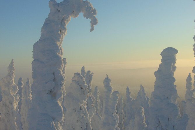 Arctic Circle Winter Drive Adventure - Why Driving the Dalton Highway in Winter Feels Different Than Flying