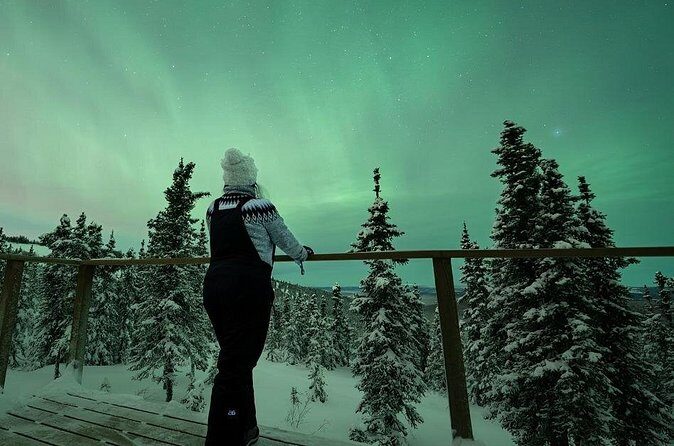 Aurora Oval Nightly Northern Lights Chase - Cold-weather comfort: warm drinks, snacks, and staying functional