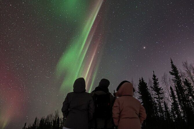 Aurora Oval Nightly Northern Lights Chase - Road time under 150 miles: how they limit “drive-and-doubt” time