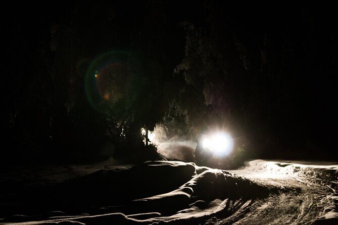 Aurora Sleighers Snowmobile Tour in Fairbanks - Weather reality in Fairbanks: what to do when the sky is stubborn
