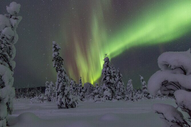Aurora Sleighers Snowmobile Tour in Fairbanks - Value and logistics: small group, included gear, and the right kind of effort
