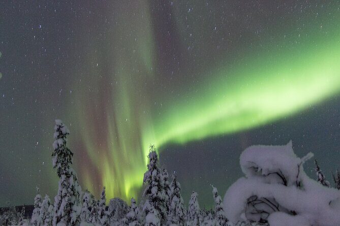 Aurora Sleighers Snowmobile Tour in Fairbanks - Who this tour is best for (and who should consider another option)