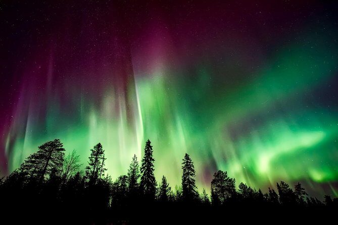 Aurora Viewing Lodge - Key highlights worth knowing before you go