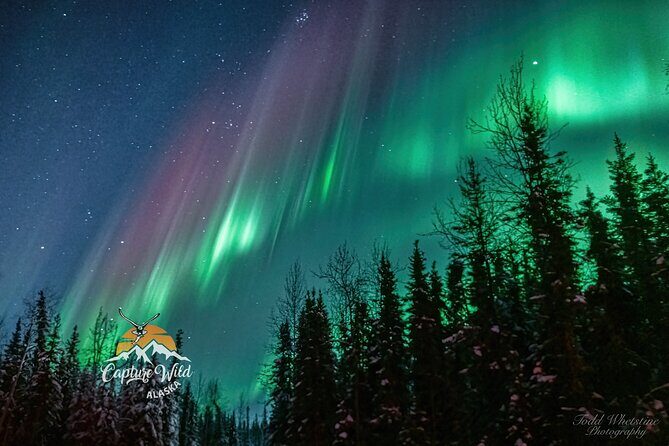 Capturing the Ethereal Beauty: Northern Lights Photo Workshop - Key Highlights You’ll Feel Right Away