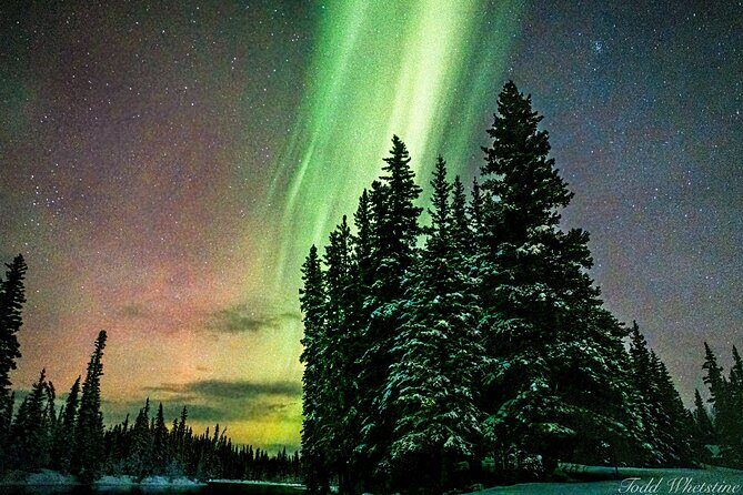 Capturing the Ethereal Beauty: Northern Lights Photo Workshop - Stop in Fairbanks: Dark-Sky Spots and a Built-in Learning Loop