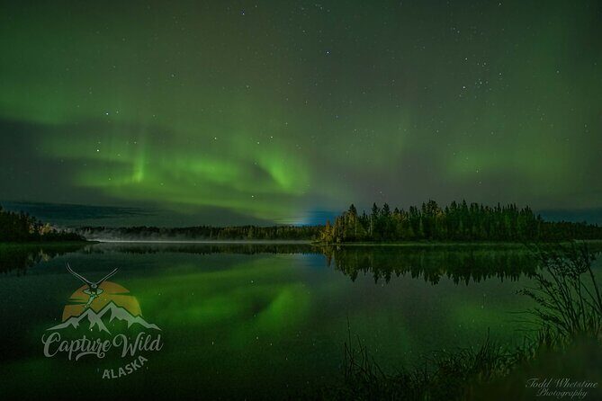 Capturing the Ethereal Beauty: Northern Lights Photo Workshop - Instruction That Targets Real Camera Decisions (Not App Overload)