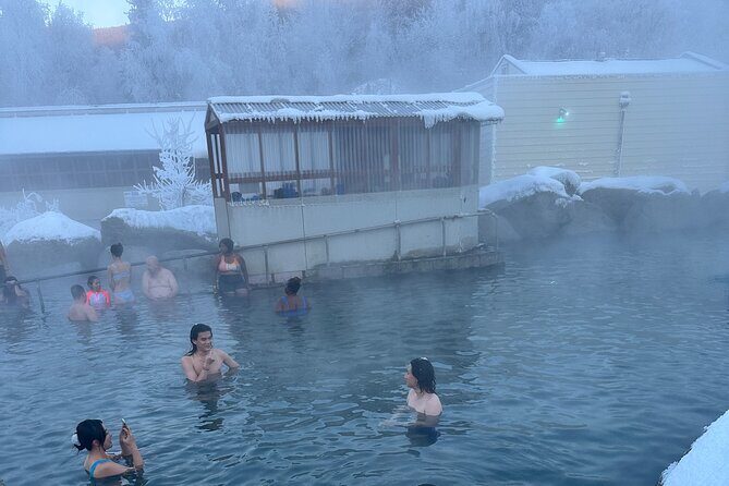 Chena Hot Spring Day Tour - Key things that make this tour worth your time