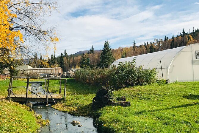 Chena Hot Spring Day Tour - Stop at Chena Hot Springs Resort: what your time is really for