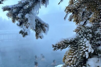 Chena Hot Spring Day Tour - The ride with your driver/guide: more than just transportation