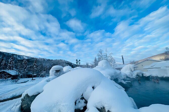 Chena Hot Spring Day Tour - The Ice Museum and the little extras worth your attention