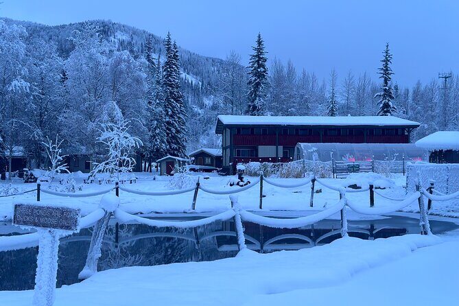 Chena Hot Spring Day Tour - What’s included vs. what you’ll pay for on your own