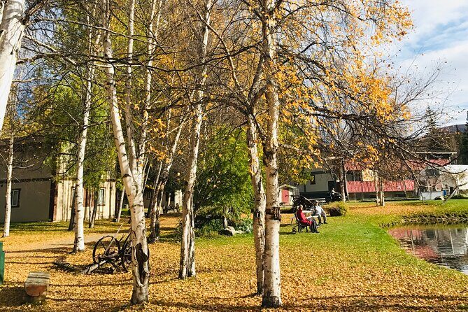 Chena Hot Spring Day Tour - Price and logistics: is $190 a fair deal for Fairbanks?
