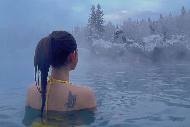 Chena Hot Spring Day Trip - Chena Hot Springs Day Trip: What You’re Really Buying for $190