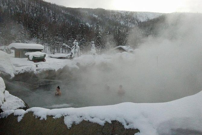 Chena Hot Springs Aurora Tour - Key Highlights You Should Know