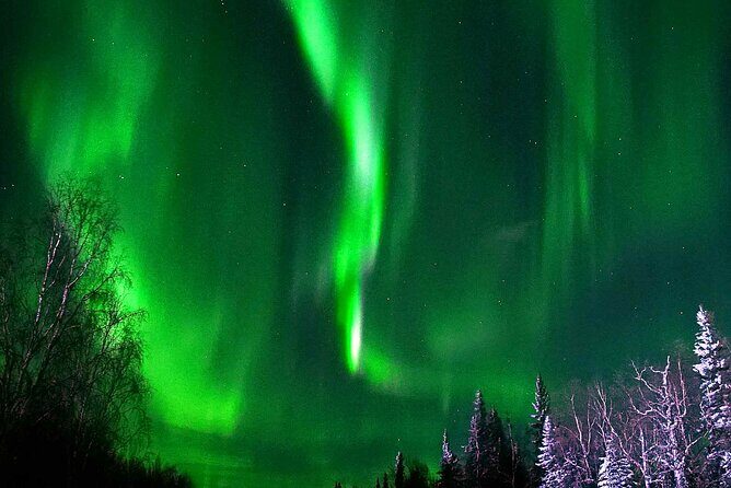 Chena Hot Springs Aurora Tour - Getting There at 5 pm: Pickup, Group Size, and Timing